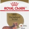 Royal Canin Dachshund Adult Breed Specific Dry Dog Food, 10 Lb bag