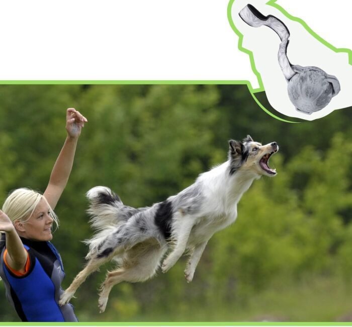 3.7" Tough Dog Toys Ball for Aggressive Chewers Large Breed – Chew, Tug, Fetch, and Swim!