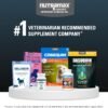 Nutramax Laboratories Dasuquin with MSM Joint Health Supplement for Large Dogs - With Glucosamine, MSM, Chondroitin, ASU, Boswellia Serrata Extract, and Green Tea Extract, 150 Chewable Tablets - Image 9