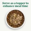 Nutro Natural Choice Cuts In Gravy Wet Dog Food 4 Flavors Variety Pack, 3.5 oz. Trays (36 Count, Pack of 1) - Image 5