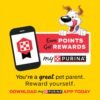 Purina Beggin' With Real Meat Dog Treats, Fun Size Original With Bacon Flavor - 25 oz. Pouch - Image 8