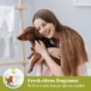 Citrus Magic Pet Odor Absorbing Solid Air Freshener for Home, Air Purifier, Fresh Citrus, Must have Pet Supplies, 8 Oz (Pack of 3) - Image 5