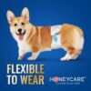 HONEY CARE All-Absorb A26 Male Dog Wrap, 50 Count, Small - Image 5