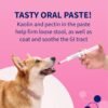 Proviable Digestive Health Supplement Kit with Multi-Strain Probiotics and Prebiotics for Medium to Large Dogs - with 7 Strains of Bacteria, 30 mL Paste and 10 Capsules - Image 7