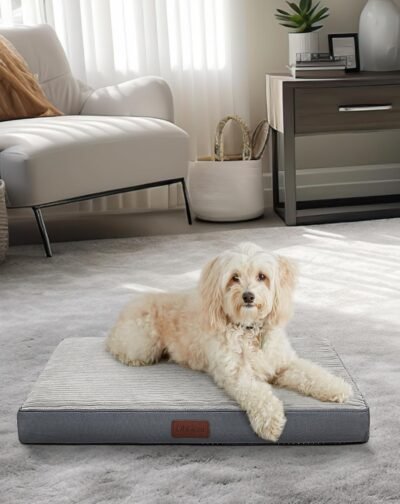 OhGeni 30 Inch Orthopedic Waterproof & Machine Washable Dog Bed for Small Medium Pets, 20D Egg Crate Foam Stable Support, Non-Slip Bottom and Removable Cover, Tear-Resistant Invisible Zipper(Gray)