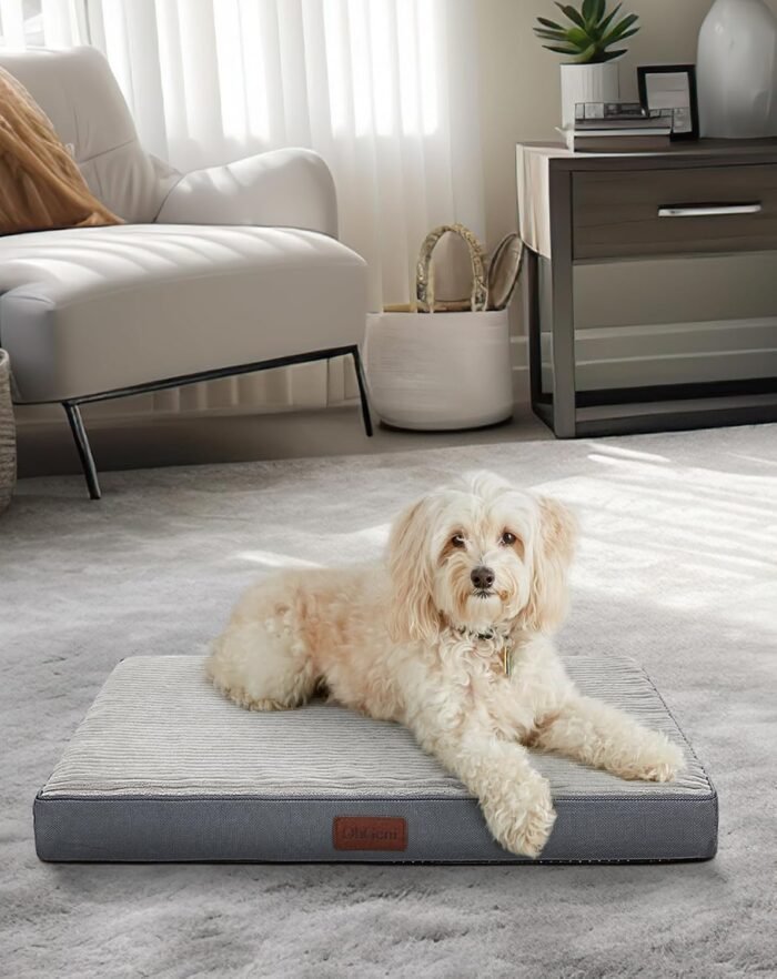 OhGeni 30 Inch Orthopedic Waterproof & Machine Washable Dog Bed for Small Medium Pets, 20D Egg Crate Foam Stable Support, Non-Slip Bottom and Removable Cover, Tear-Resistant Invisible Zipper(Gray)
