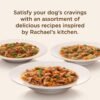 Rachael Ray Nutrish Premium Natural Wet Dog Food with Added Vitamins & Minerals, Hearty Recipes Variety Pack, 8 Ounce Tub (Pack of 12) - Image 5