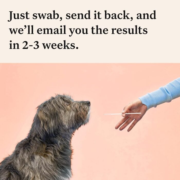 Wisdom Health Panel Premium Dog DNA Kit: Most Comprehensive with 265+ Health Tests, Identify 365+ Dog Breeds, 50+ Traits, Relatives, Ancestry, Genetic Diversity - Pack of 2