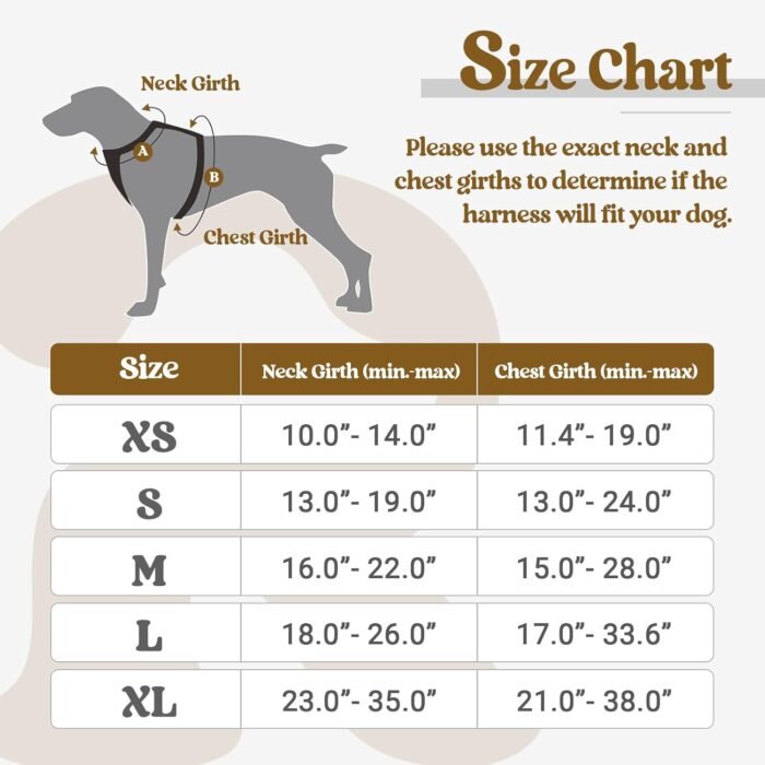 rabbitgoo Dog Harness No Pull with 2 Leash Clips, Adjustable Soft Padded, Reflective Oxford No Choke Pet Vest with Easy Control Handle for Large Dogs, Black, L