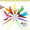 Interactive Cat Toys - Retractable Wand Toy and Feather Toys Refills for Indoor Cats to Chase and Exercise - Image 5