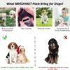 20Pcs Puppy Chew Toys for Teething, Dog Chew Toys with Rope Toys, Pet Dog Toothbrush, Treat Balls, Plush Toys and Squeaky Toys for Small Medium Dogs with Basket - Image 3