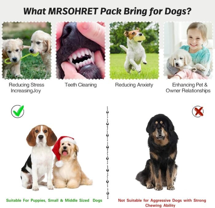 20Pcs Puppy Chew Toys for Teething, Dog Chew Toys with Rope Toys, Pet Dog Toothbrush, Treat Balls, Plush Toys and Squeaky Toys for Small Medium Dogs with Basket