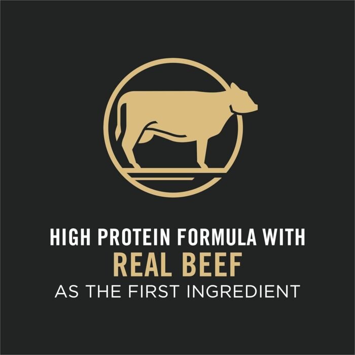 Purina Pro Plan Complete Essentials Shredded Blend Beef and Rice Dog Food Dry Formula with Probiotics for Dogs - 47 lb. Bag