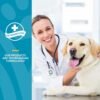 NaturVet Quiet Moments Calming Aid Dog Supplement – Helps Promote Relaxation, Reduce Stress, Storm Anxiety, Fireworks, Motion Sickness for Dogs – Tasty Pet Soft Chews with Melatonin – 70 Ct. - Image 6
