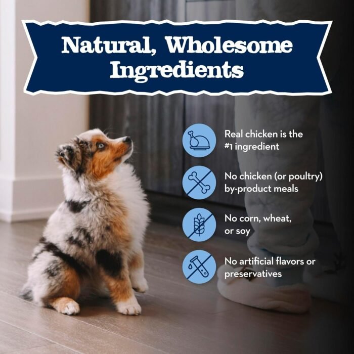 Blue Buffalo Baby Blue Natural Dry Food for Puppies, Healthy Growth Formula with DHA, Savory Chicken Recipe, 4-lb. Bag