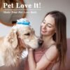 2PCS Dog Bath Brush Set | Adjustable Handle Dog Scrubber for Shampooing, Deshedding & Massaging, Suitable for Pets (Green Blue) - Image 2