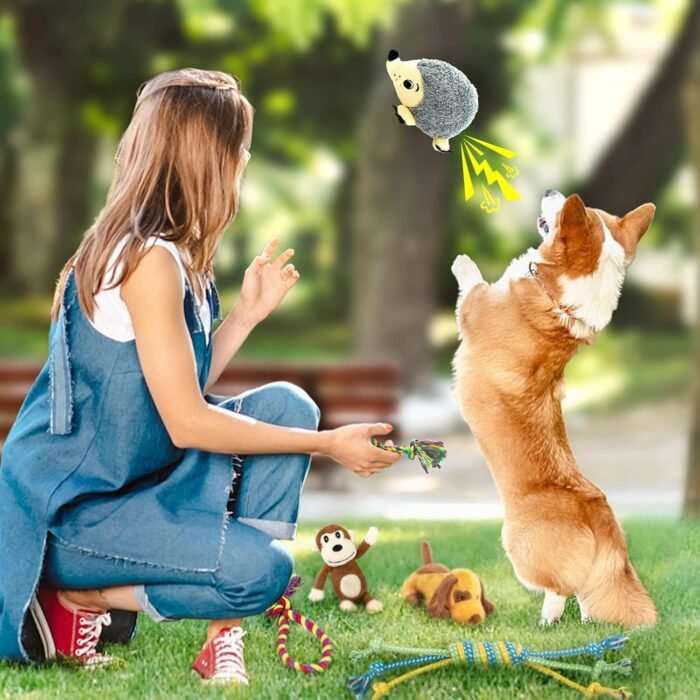 LEGEND SANDY Dog Squeaky Toys for Small Dogs, 12 Pack Puppy Toys for Teething, Cute Small Dog Animals Stuffed Plush Pet Toy Bundle, Natural Cotton Puppy Rope, Puppy Chew to Keep Them Busy