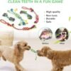 LEGEND SANDY Dog Squeaky Toys for Small Dogs, 12 Pack Puppy Toys for Teething, Cute Small Dog Animals Stuffed Plush Pet Toy Bundle, Natural Cotton Puppy Rope, Puppy Chew to Keep Them Busy