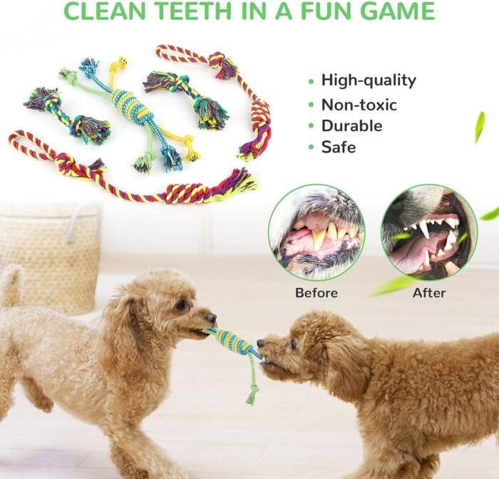 LEGEND SANDY Dog Squeaky Toys for Small Dogs, 12 Pack Puppy Toys for Teething, Cute Small Dog Animals Stuffed Plush Pet Toy Bundle, Natural Cotton Puppy Rope, Puppy Chew to Keep Them Busy