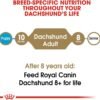 Royal Canin Dachshund Adult Breed Specific Dry Dog Food, 10 Lb bag