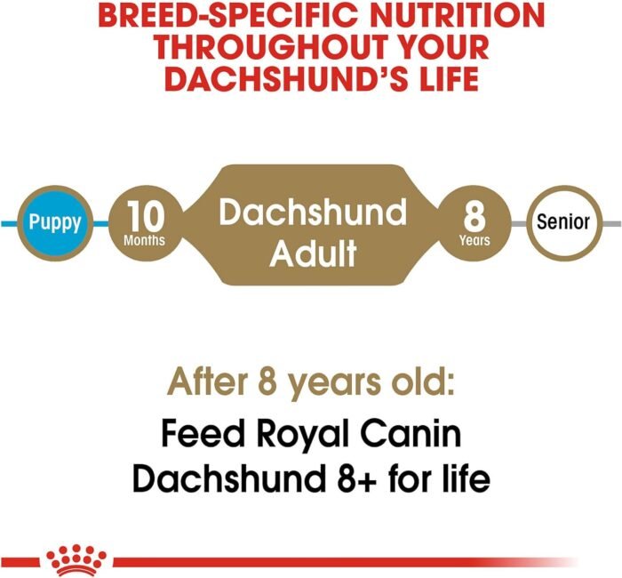 Royal Canin Dachshund Adult Breed Specific Dry Dog Food, 10 Lb bag