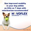 Advanced Soft Chews Hip and Joint Support Supplement for Medium Dogs - Movoflex 60 Count by Virbac - Image 2