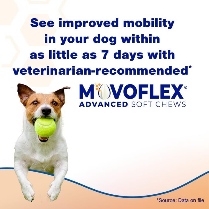 Advanced Soft Chews Hip and Joint Support Supplement for Medium Dogs - Movoflex 60 Count by Virbac