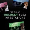 CAPSTAR Oral Flea Treatment for Dogs, Fast Acting Tablets Start Killing Fleas in 30 Minutes, Medium & Large Dogs (Over 25 lbs), 6 Doses - Image 2