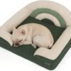Blissful Diary Foam Dog Bed Medium Size, Pet Sofa with Washable Cover and Waterproof Liner, Soft Teddy Plush with Rainbow Design (Green)