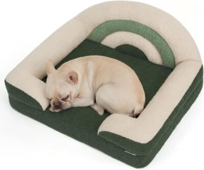 Blissful Diary Foam Dog Bed Medium Size, Pet Sofa with Washable Cover and Waterproof Liner, Soft Teddy Plush with Rainbow Design (Green)