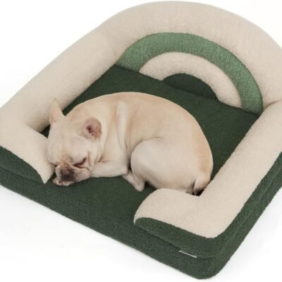 Blissful Diary Foam Dog Bed Medium Size, Pet Sofa with Washable Cover and Waterproof Liner, Soft Teddy Plush with Rainbow Design (Green)