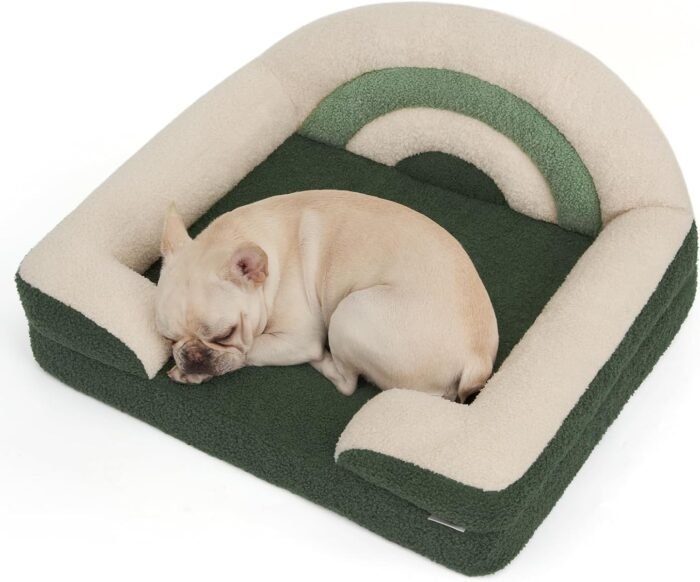 Blissful Diary Foam Dog Bed Medium Size, Pet Sofa with Washable Cover and Waterproof Liner, Soft Teddy Plush with Rainbow Design (Green)
