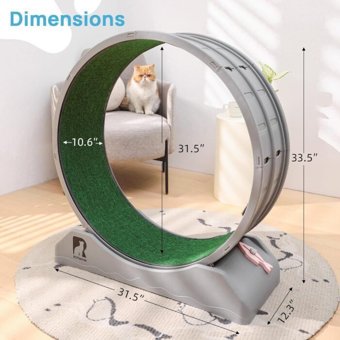Cat Exercise Wheel, 31.5 Inch Cat Treadmill for Indoor Cats, Cat Running Wheel with Carpeted Runway, Easy to Install & Fitness & Health, Suitable for Most Cats, Plastic Cat Wheel