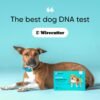 Embark Breed & Health Kit - Dog DNA Test - Discover Breed, Ancestry, Relative Finder, Genetic Health, Traits, COI - Image 5