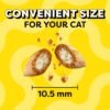 Temptations MixUps Catnip Fever Flavor Crunchy and Soft Cat Treats, 16 oz. Tub - Image 9