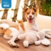 Best Pet Supplies Interactive Bunny Buddy Dog Toy with Crinkle and Squeaky Enrichment for Small and Medium Breed Puppies or Dogs, Cute and Plush - Bunny (Beige) - Image 6