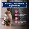 Blue Buffalo Baby BLUE Natural Small Breed Puppy Dry Dog Food, Healthy Growth Formula with DHA, Chicken and Oatmeal Recipe, 4-lb. Bag - Image 6