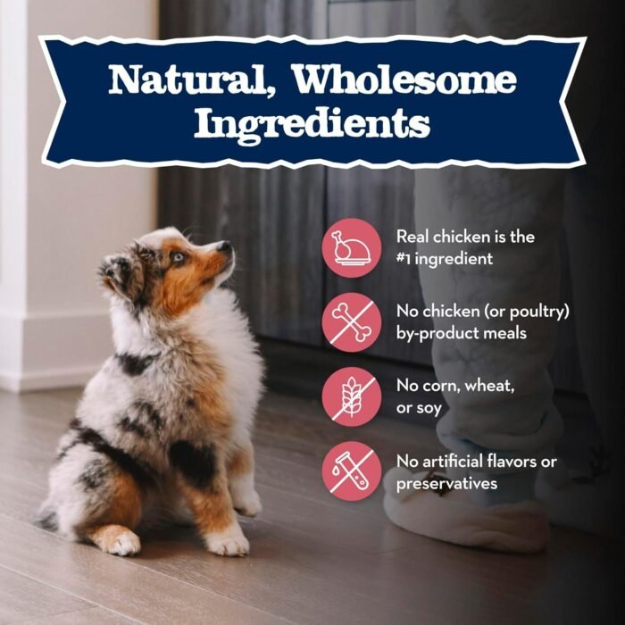 Blue Buffalo Baby BLUE Natural Small Breed Puppy Dry Dog Food, Healthy Growth Formula with DHA, Chicken and Oatmeal Recipe, 4-lb. Bag