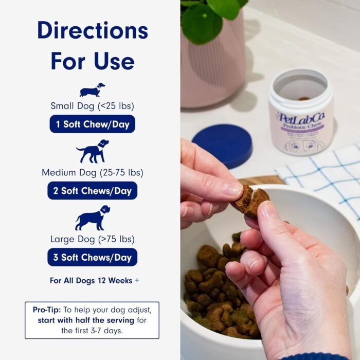 PetLab Co. Probiotics for Dogs, Support Gut Health, Occasional Diarrhea, Digestive Health & Seasonal Allergies - Pork Flavor - 30 Soft Chews - Packaging May Vary (Value 3-Pack)