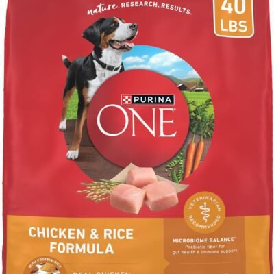 Purina ONE Chicken and Rice Formula Dry Dog Food - 40 lb. Bag