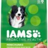 IAMS Proactive Health Minichunks Adult Dry Dog Food with Real Chicken and Whole Grains, 7 lb. Bag
