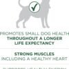 Purina ONE Plus Small Breed Lamb and Rice Formula Dry Dog Food - 7.4 lb. Bag - Image 4