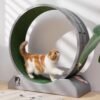 Cat Exercise Wheel, 31.5 Inch Cat Treadmill for Indoor Cats, Cat Running Wheel with Carpeted Runway, Easy to Install & Fitness & Health, Suitable for Most Cats, Plastic Cat Wheel - Image 7