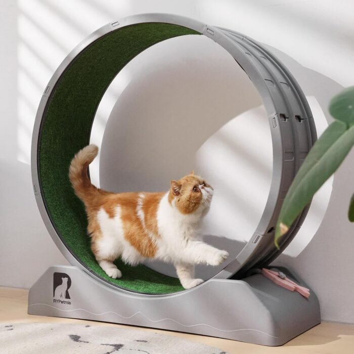 Cat Exercise Wheel, 31.5 Inch Cat Treadmill for Indoor Cats, Cat Running Wheel with Carpeted Runway, Easy to Install & Fitness & Health, Suitable for Most Cats, Plastic Cat Wheel