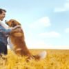 A Dog's Journey / A Dog's Purpose 2-Movie Collection [DVD] - Image 5
