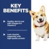 Hill's Science Diet Adult 1-6, Adult 1-6 Premium Nutrition, Small Kibble, Dry Dog Food, Chicken & Barley, 5 lb Bag