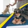 Muddy Mat® Shown on TV–Super Absorbent Microfiber Dog Door Mat for Muddy Paws, Non-Slip Washable Pet Rug, Quick Dry Chenille Entryway Carpet, Machine Washable Indoor Outdoor mat–Atlantic Blue 35"x24" - Image 5