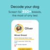 Embark Breed & Health Kit - Dog DNA Test - Discover Breed, Ancestry, Relative Finder, Genetic Health, Traits, COI - Image 3