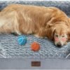 WNPETHOME Dog Beds for Large Dogs, Washable Dog Bed, Bolster Dog Sofa Bed with Waterproof Lining & Non-Skid Bottom, Orthopedic Egg Foam Dog Couch for Pet Sleeping, Pet Bed for Large Dogs