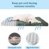 Water-Resistant Dog Bed - Orthopedic Dog Bed with Removable Washable Cover, Non-Slip Bottom, and Egg Crate Style Foam - 25.5in Small Pet Bed - Puppy Essentials by PETMAKER (Green) - Image 3